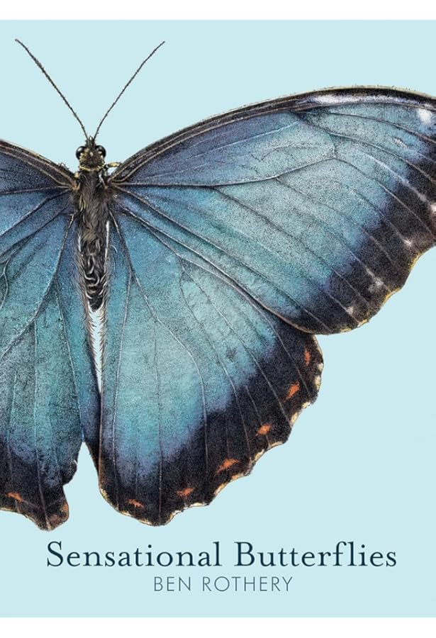 Butterflies of the World: Hoskins, Adrian: 9781921517334: Amazon